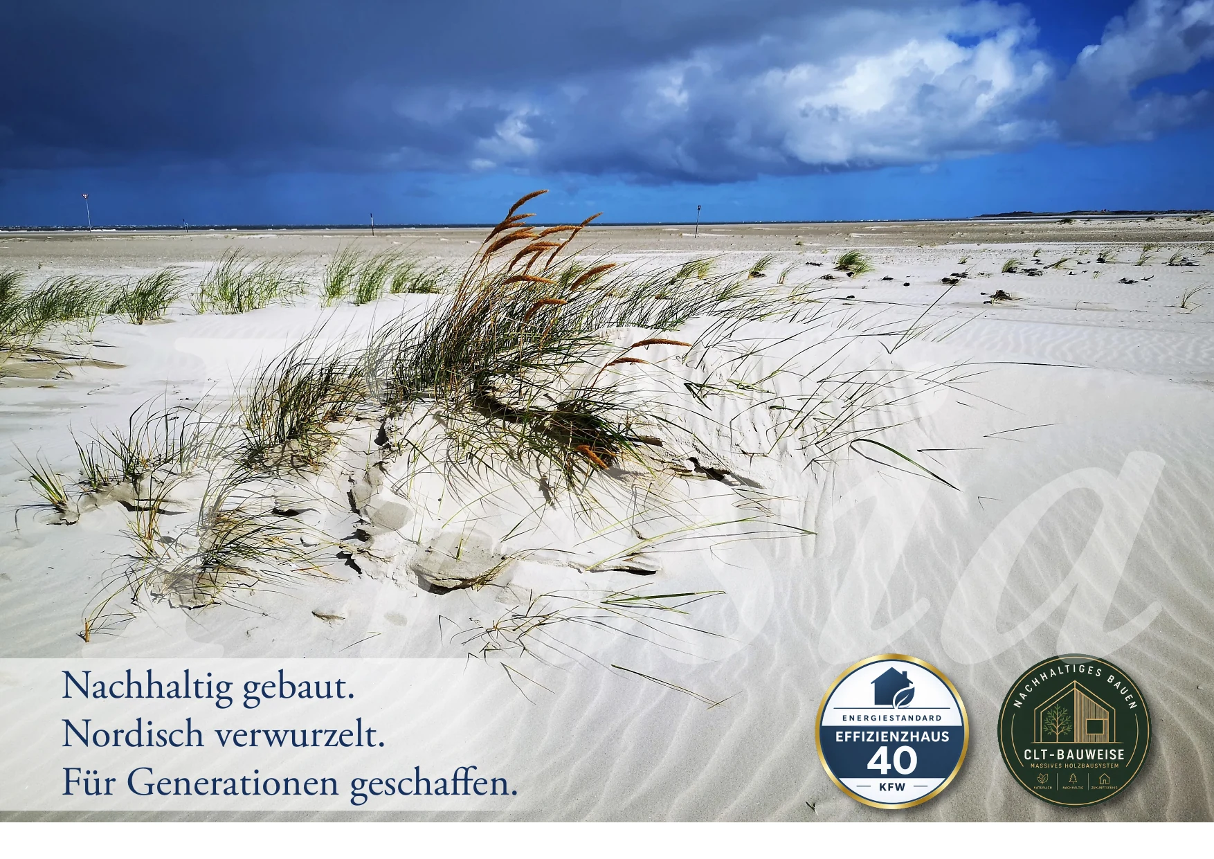 Dünenlandschaft auf Langeoog